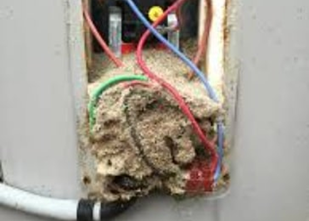bad-wiring Feeding Child